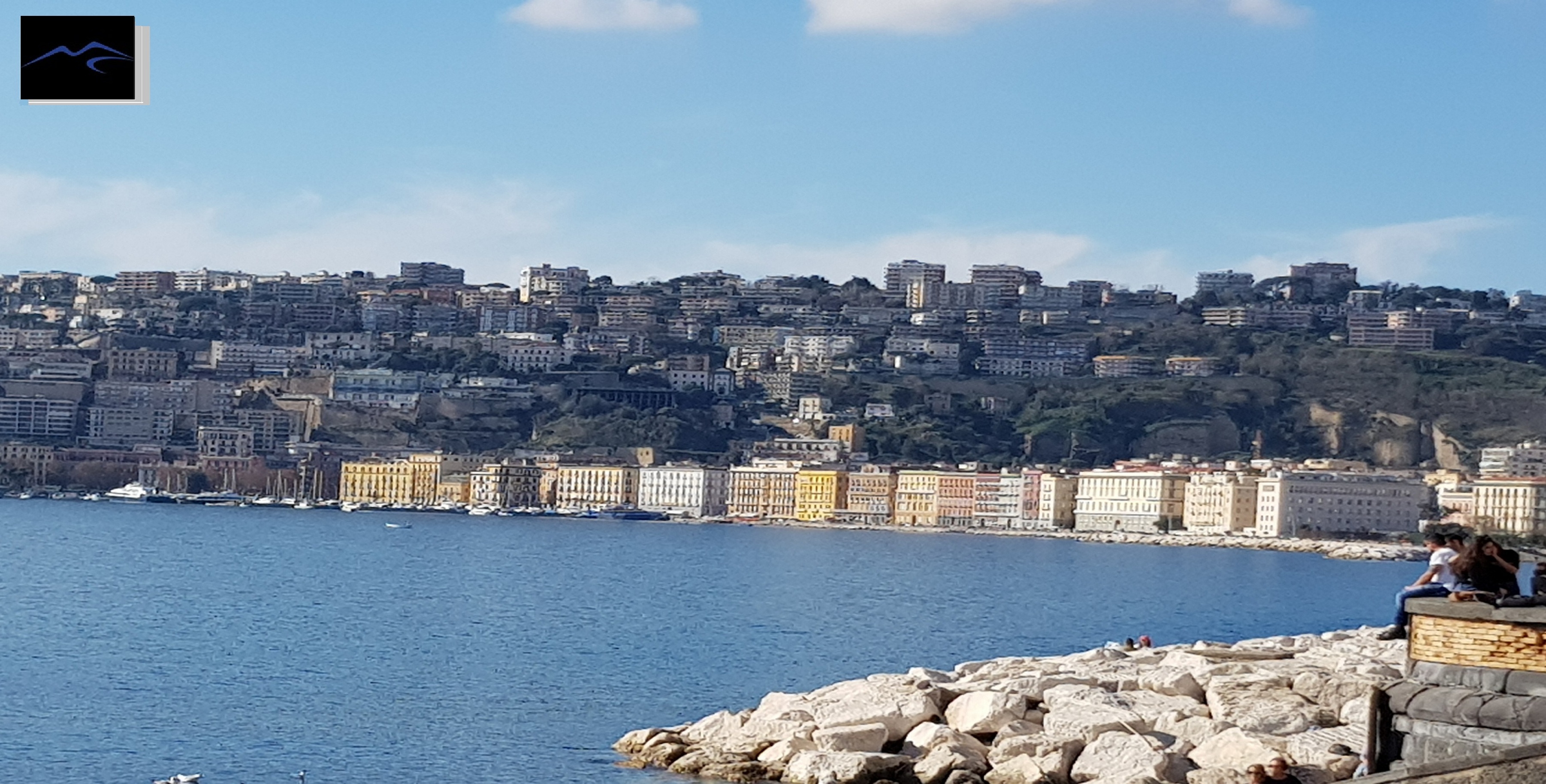 <span style="color:#2980b9;"><strong>Parthenovation s.r.l.</strong></span> &nbsp;