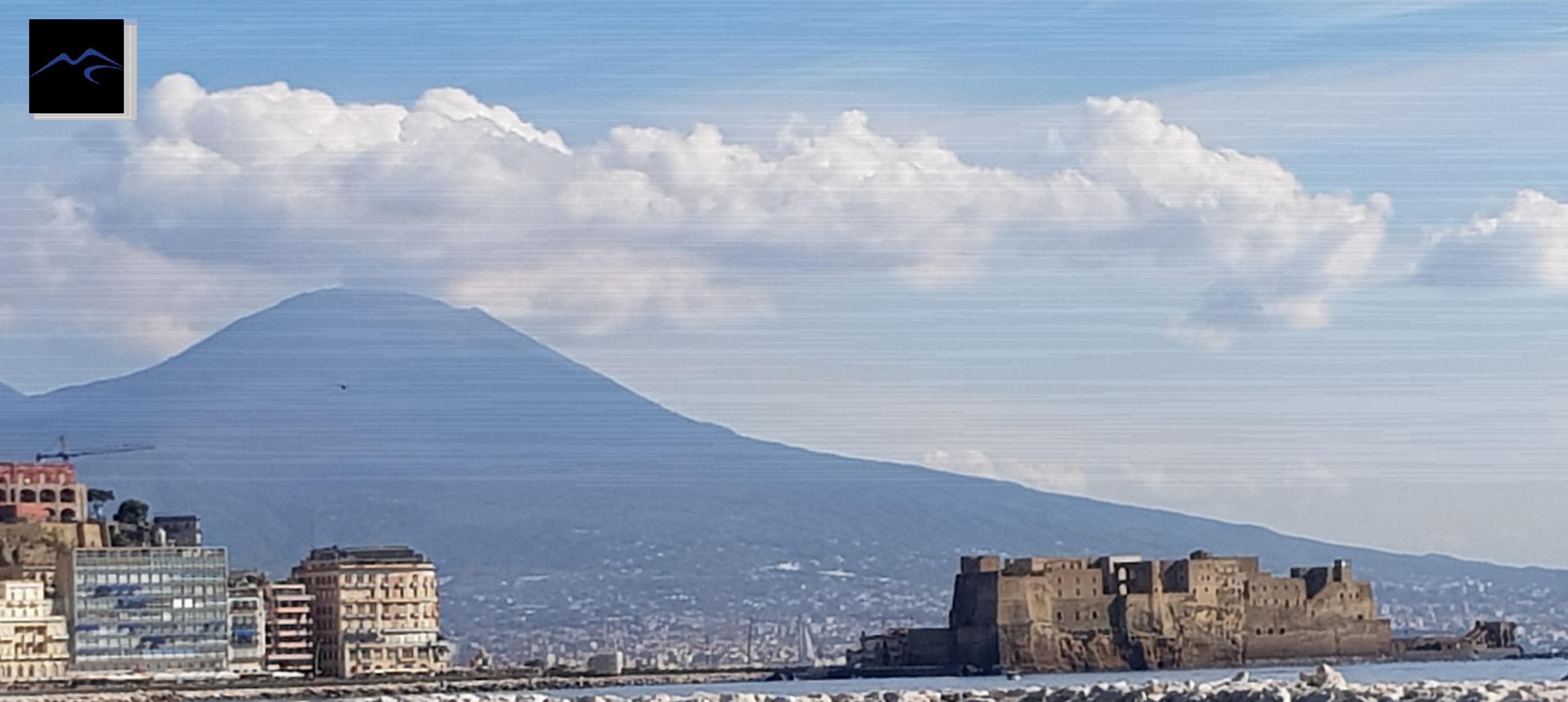 <span style="color:#2980b9;"><strong>Parthenovation s.r.l.</strong></span> &nbsp;